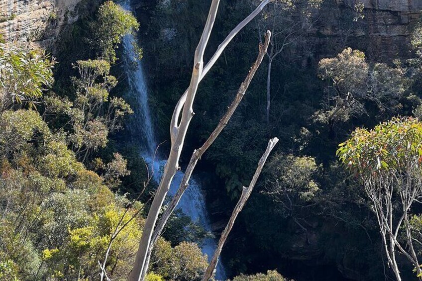 PRIVATE Featherdale Zoo Blue Mountains Scenic World in Luxury Car