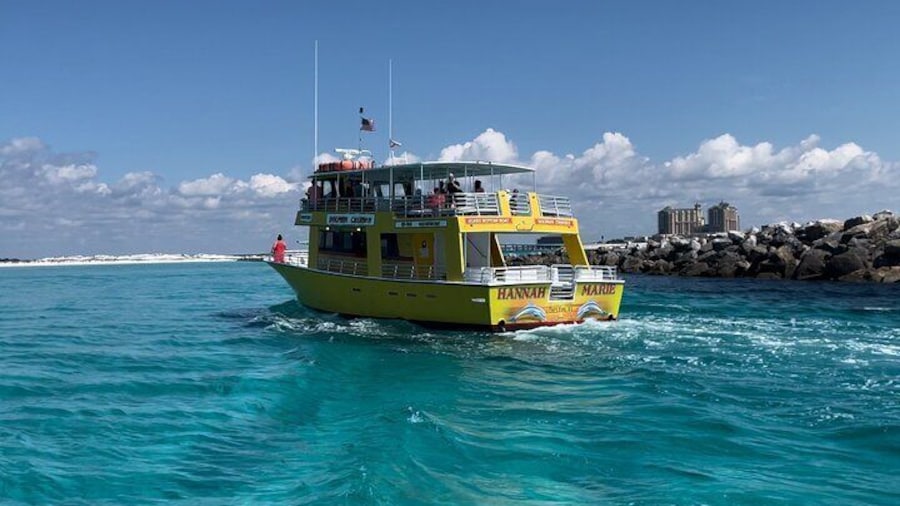 Dolphin & Sunset Cruises
