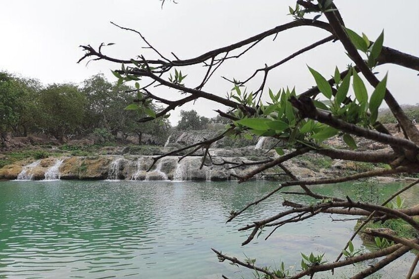 East Salalah Mountain Safari