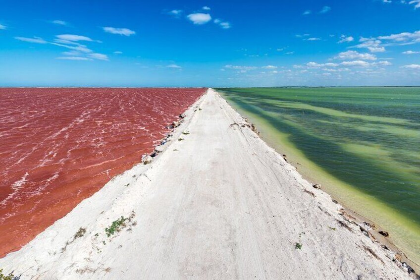 Full Day Guided Tour in Coloradas and Rio Lagartos 