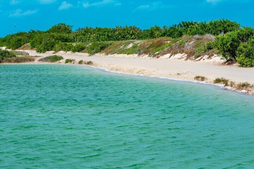 Full Day Guided Tour in Coloradas and Rio Lagartos 