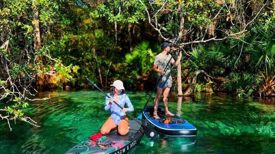 Rainbow Springs Paddle Board Adventure