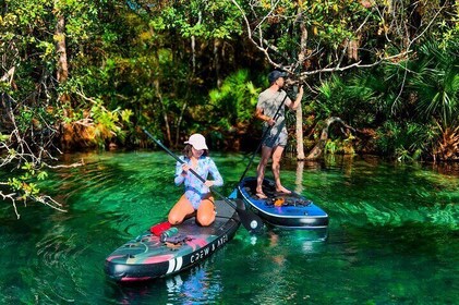 Regenboog Springs Paddle avontuur