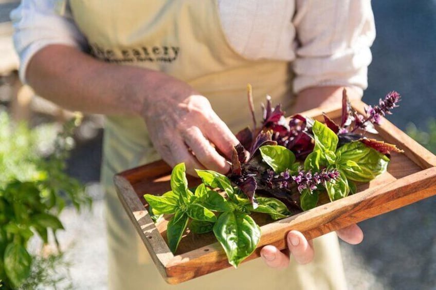 Maggie Beer's Farm Cooking School and Seasonal Lunch