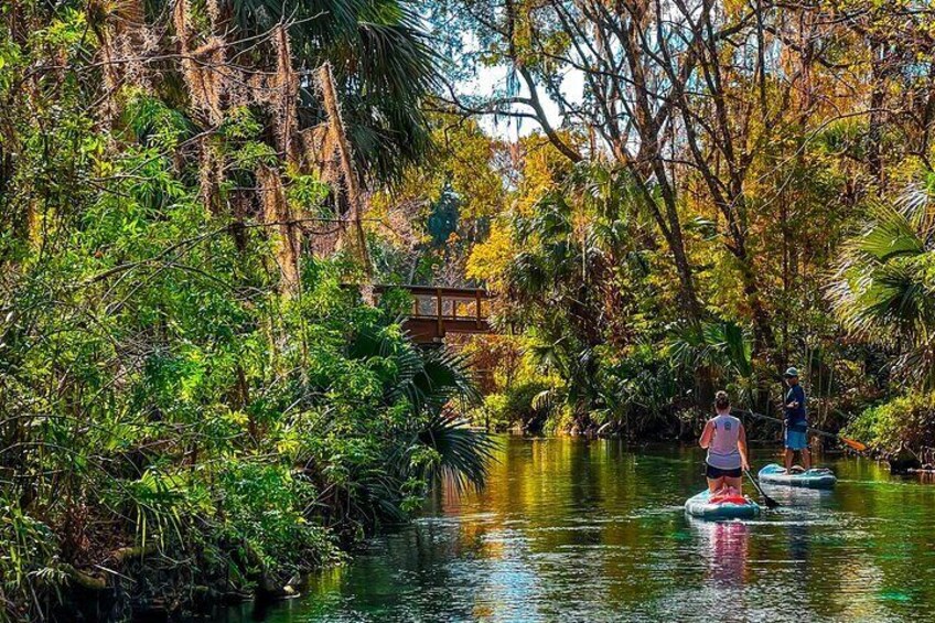 Silver Springs Paddle Board Adventure