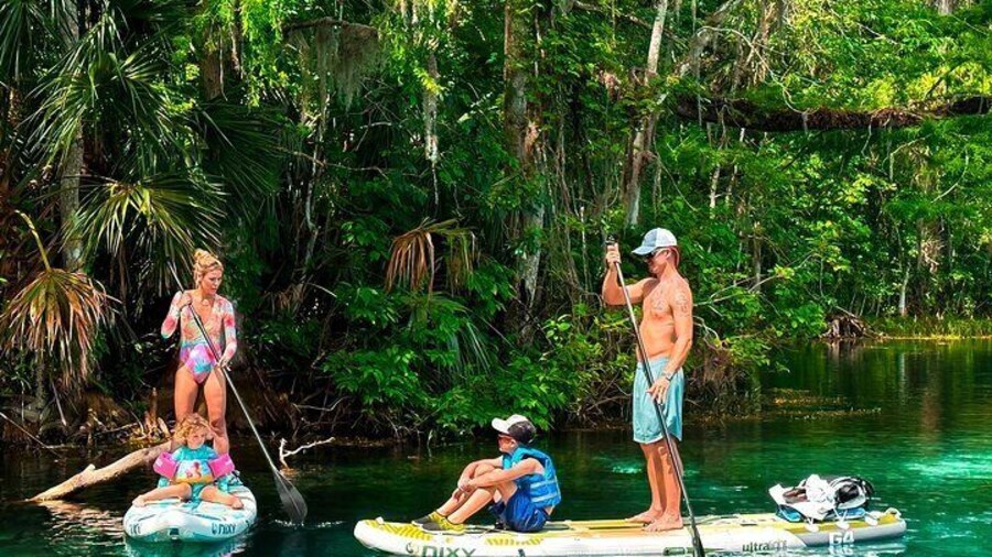 Silver Springs Paddle Board Adventure