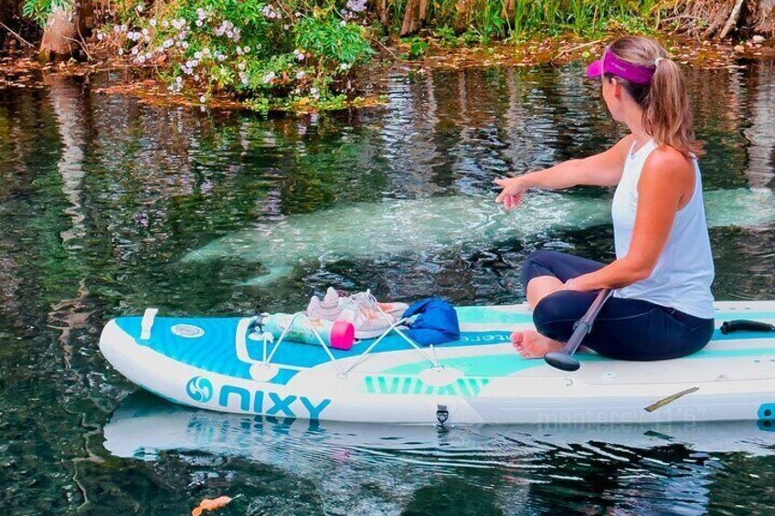 Silver Springs Paddle Board Adventure