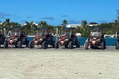 Famous East Island UTV Tour