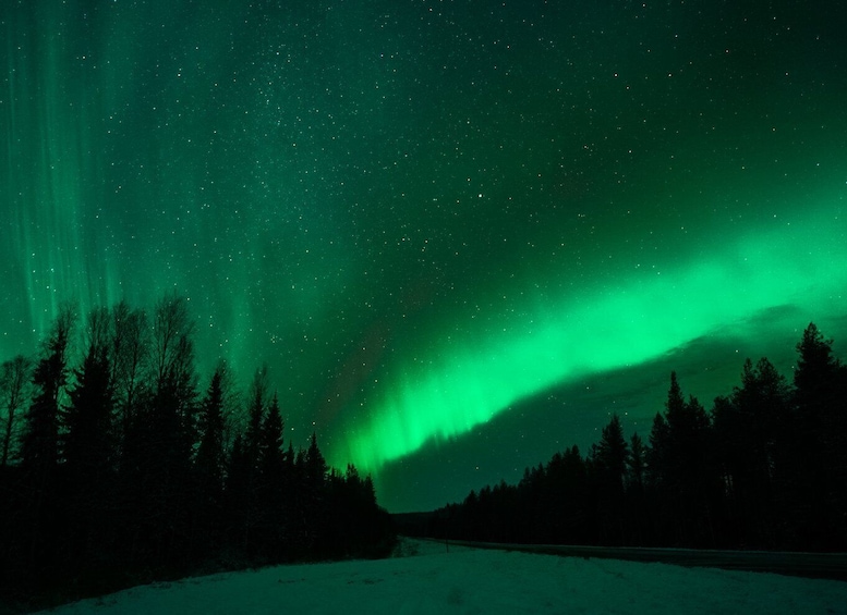 Picture 5 for Activity Rovaniemi: Northern Lights Tour with Guaranteed Sightings