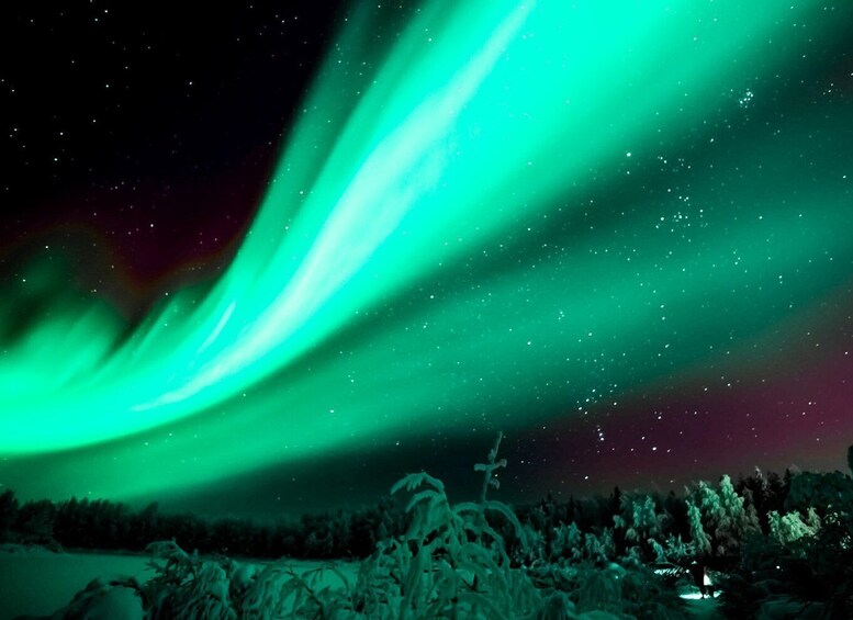 Picture 1 for Activity Rovaniemi: Northern Lights Tour with Guaranteed Sightings