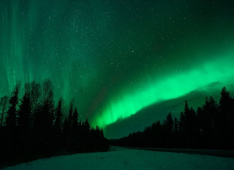 Picture 5 for Activity Rovaniemi: Northern Lights Tour with Guaranteed Sightings