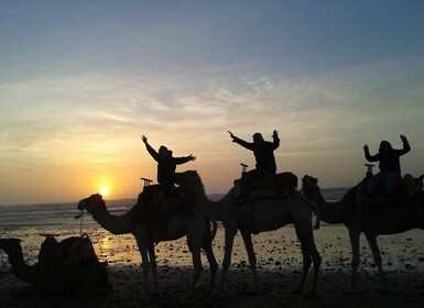 Essaouira: One Hour Dromedary Ride