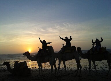 Essaouira: paseo en dromedario de una hora