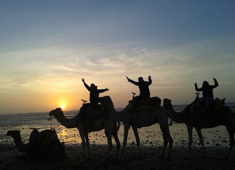 Essaouira: One Hour Dromedary Ride