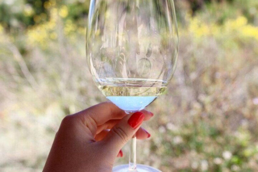 Kefalonia Wine Adventure in 3 Wineries With Tastings