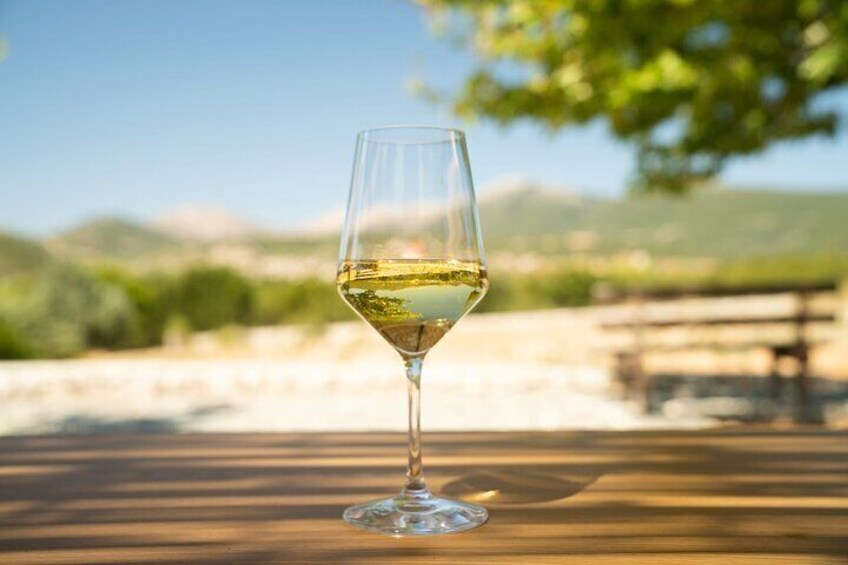 Kefalonia Wine Adventure in 3 Wineries With Tastings