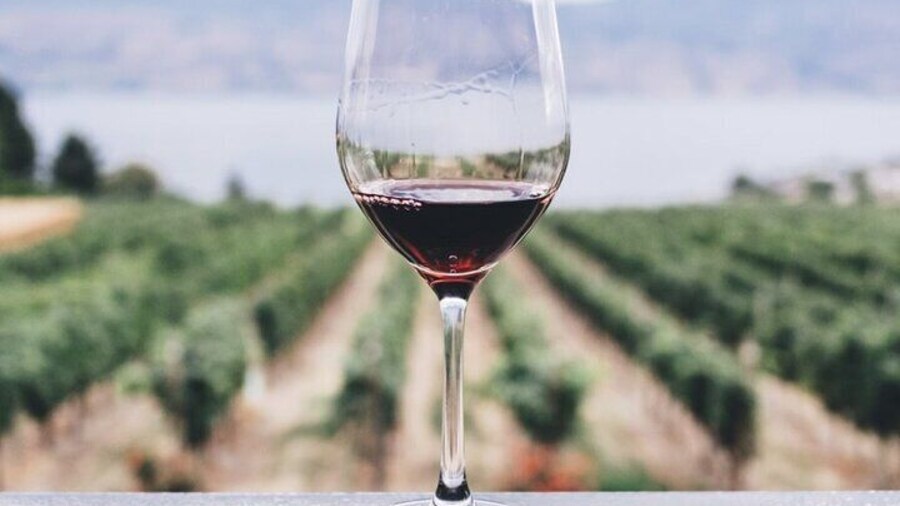 Kefalonia Wine Adventure in 3 Wineries With Tastings