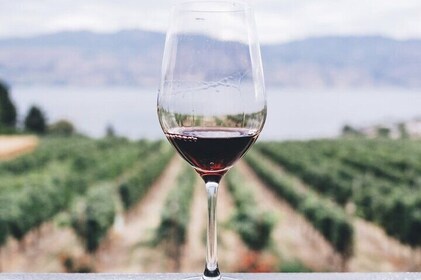 Aventura vinícola en Cefalonia en 3 bodegas con degustaciones
