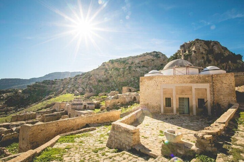 Zriba El Aliya Berber Village and Zaghouan Water Temple Tour