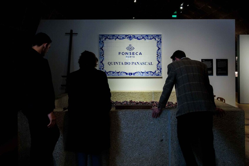 Picture 2 for Activity Porto: Port Cellar Visit and Wine Tasting at Fonseca