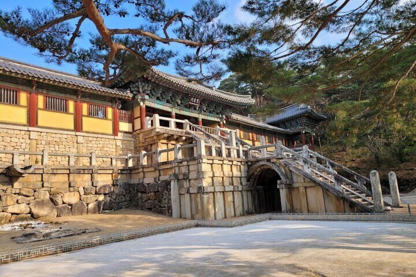 One Day tour to World Heritage GyeongJu from Busan