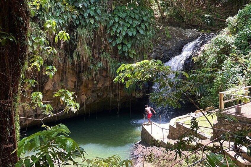 Tour Grenada: Annandale, Grand Etang and Grand Anse beach