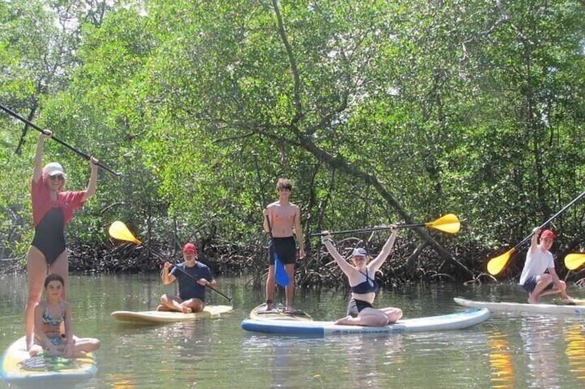 Mangrove Paddle Ride Sainte Anne Guadeloupe