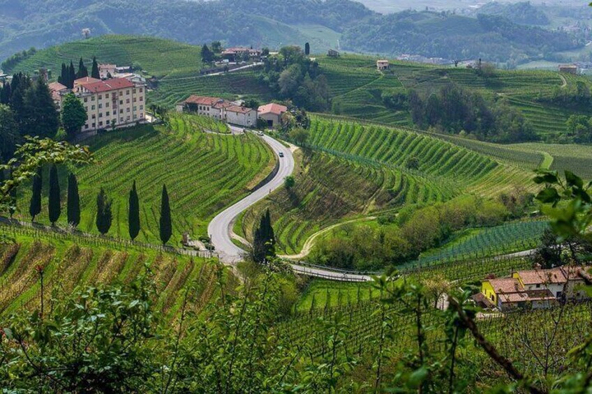 Valpolicella Natural Wonders, Local Wine & Food Private Tour