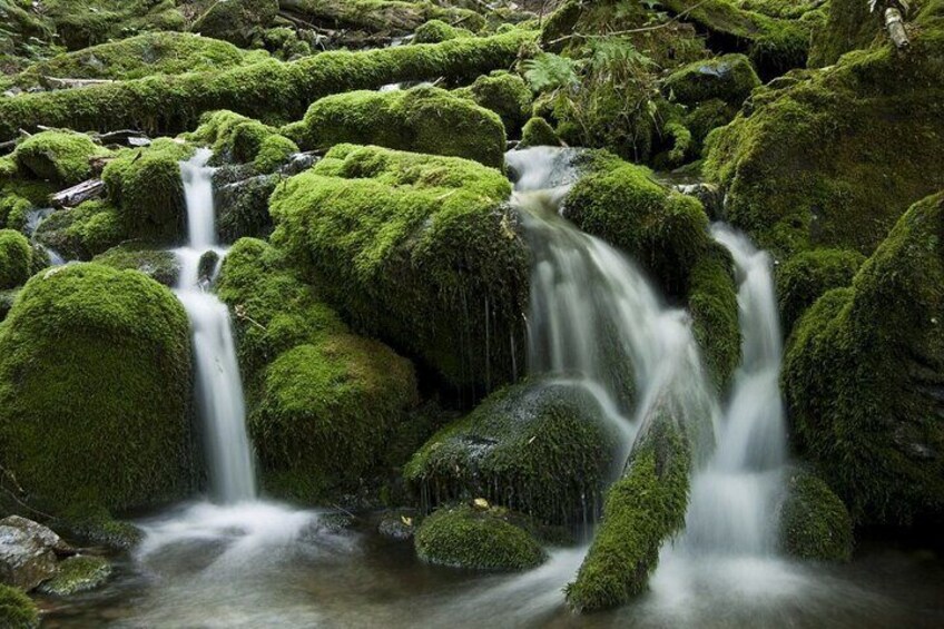 Valpolicella Natural Wonders, Local Food & Wine Private Tour