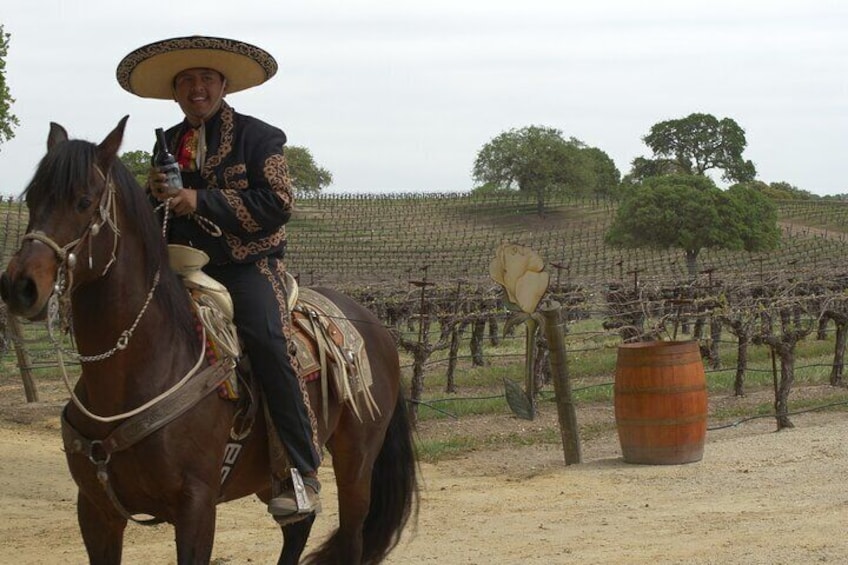 Self-Guided Wine Tasting Audio Tour - Paso Robles CA