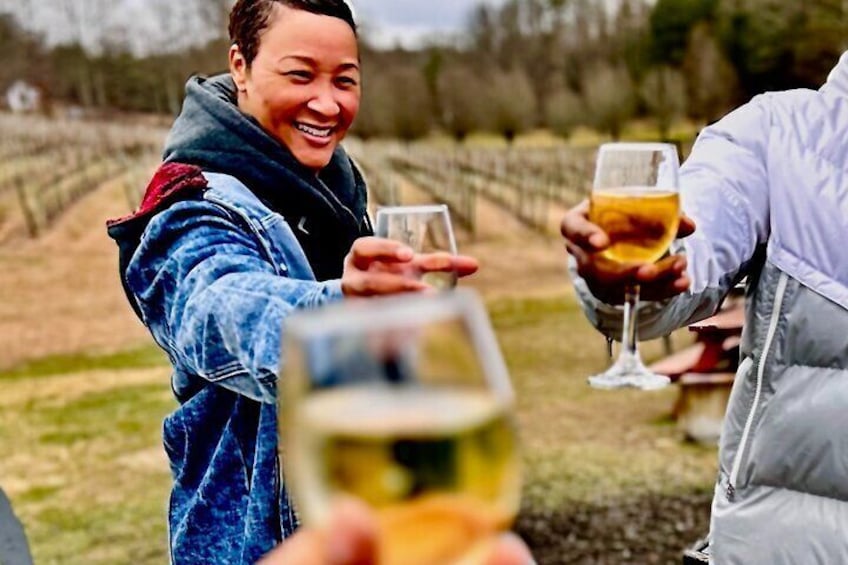 North Georgia Private Wineries Tour, Dine and Shop from Atlanta