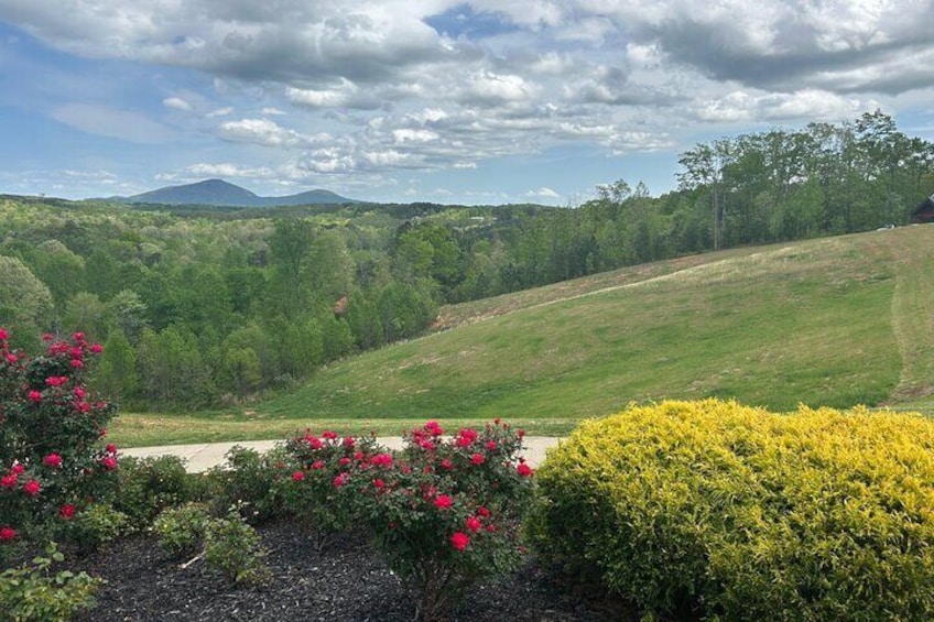 Helen N. Georgia Private Winery Tour, Dine and Shop from Atlanta