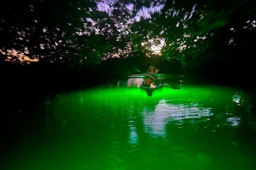 Guided Glow LED Kayak Sunset Activity in Bonita Springs