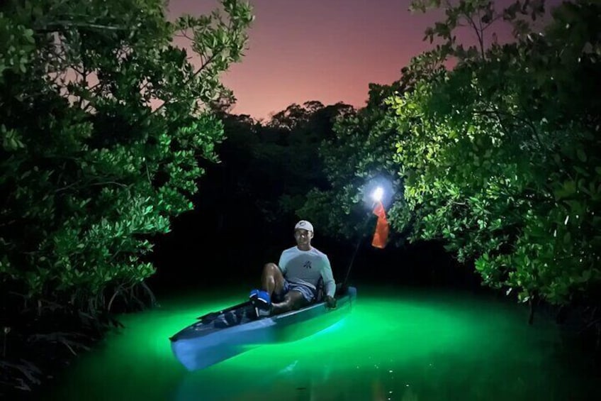 Experience the nocturnal glow of the mangroves! Our Hobie's come equipped with powerful LED fish lights that will illuminate your path through the enigmatic wonders of SWFL nocturnal ecosystems! 