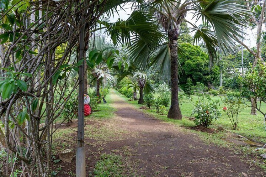 Private Tour of Fort Charlotte to Botanical Gardens and Kingstown