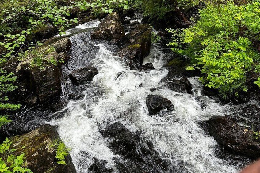 Thimbleberry waterfall