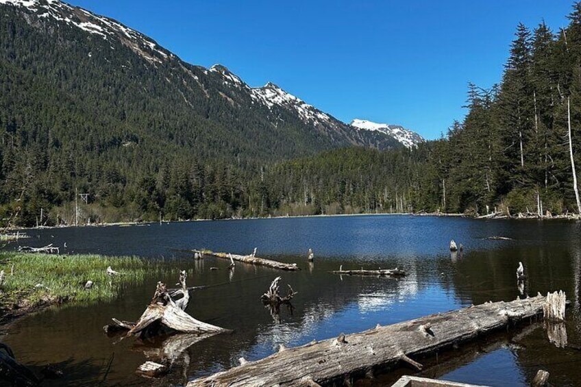 Thimbleberry Lake