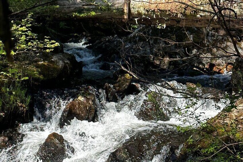 Sitka's Favorite Sites Private Land Tour