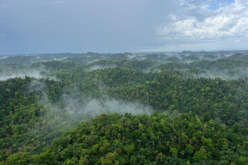 Private 25-Minute Helicopter Tour Across Puerto Rico