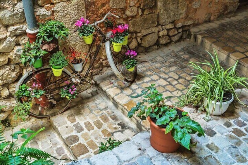 Hilltop Villages Guided Tour in French Riviera from Cannes