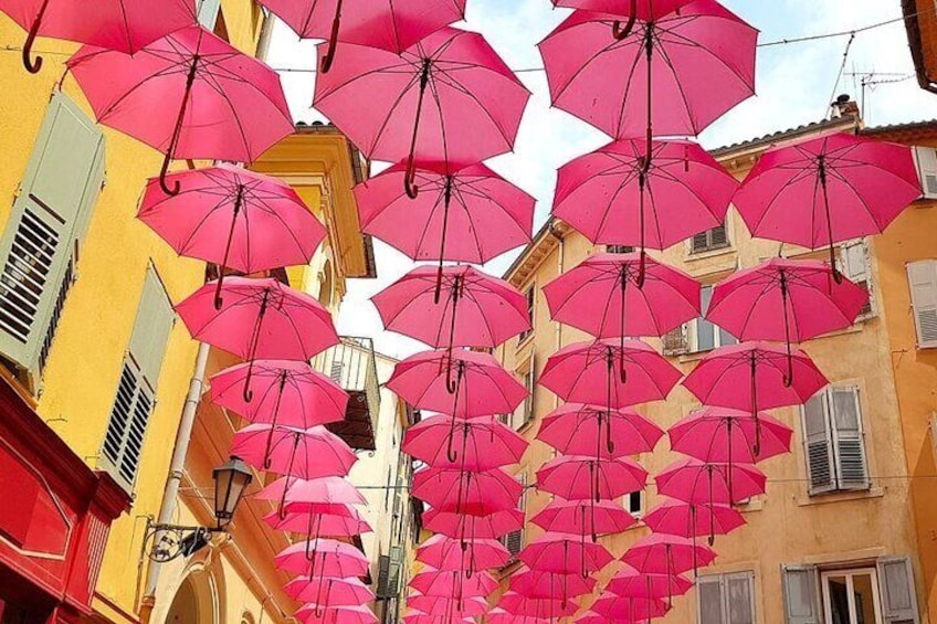 Hilltop Villages Guided Tour in French Riviera from Cannes