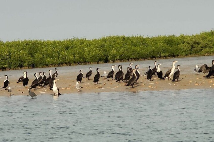 2-Day Private Tour of Lac Rose and Djoudj and Saint Louis