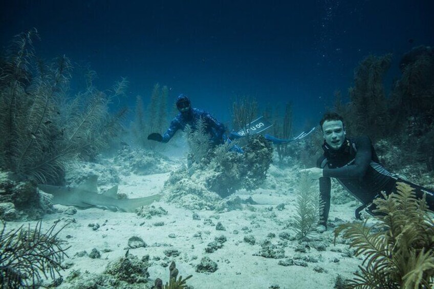 Scuba Diving Private Tour in San Andres