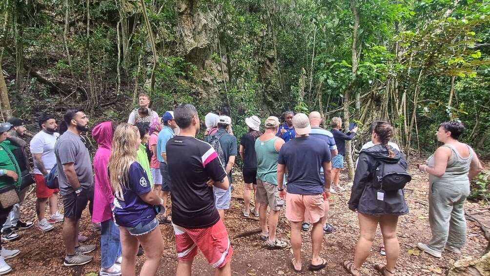 Los Haitises National Park with Montana Redonda and Paraiso Cano Hondo 