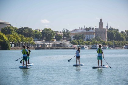 Sevilla: Paddle Boarding auf dem Guadalquivir-Fluss