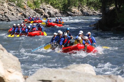 Whitewater Rafting in Revelstoke, BC