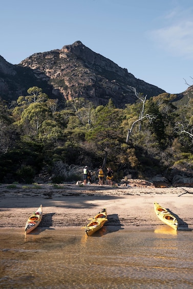 Picture 2 for Activity The Freycinet Paddle Kayak Tour