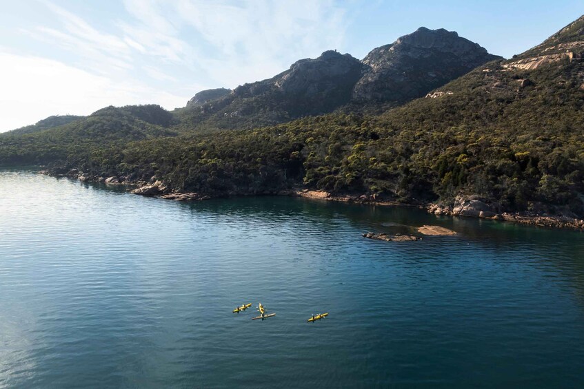 Picture 6 for Activity The Freycinet Paddle Kayak Tour