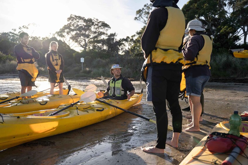 Picture 3 for Activity The Freycinet Paddle Kayak Tour