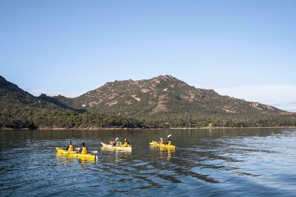 Le Freycinet Paddle Kayak excursion